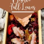 box of preserved fall leaves with text which reads how to preserve fall leaves