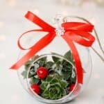 succulent christmas ornaments