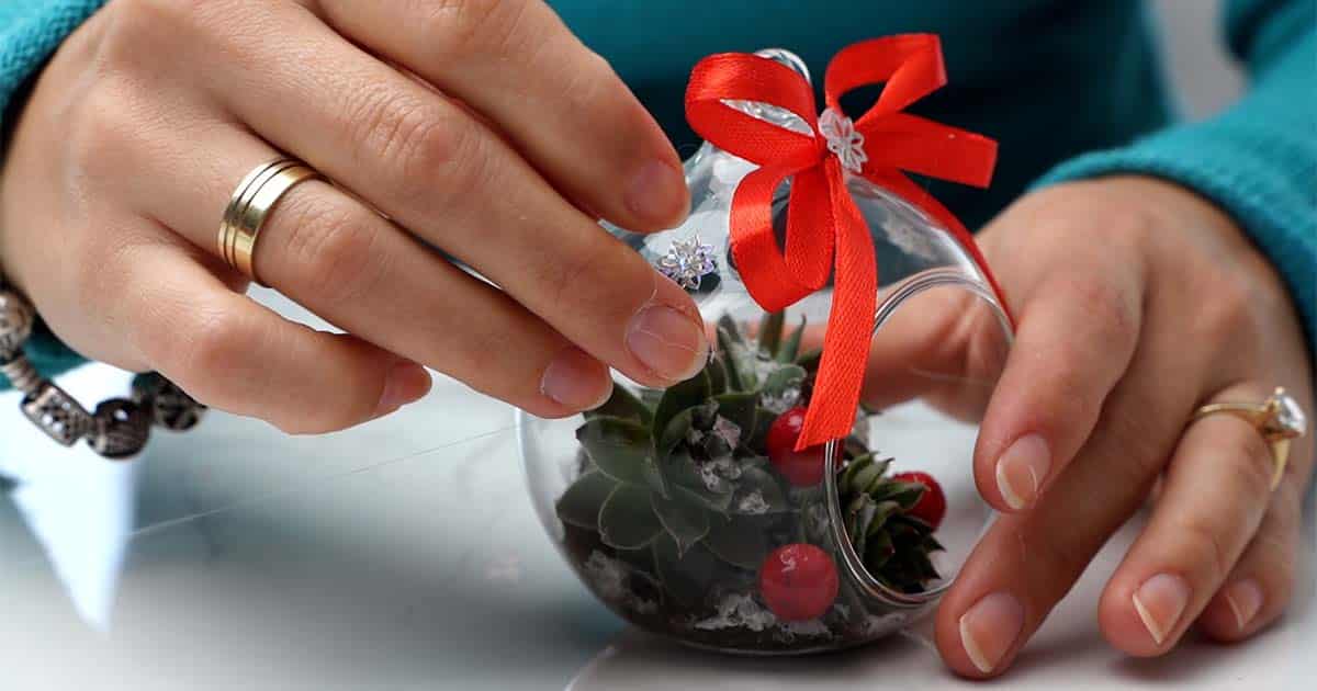 gift idea for a gardener succulent christmas ornaments