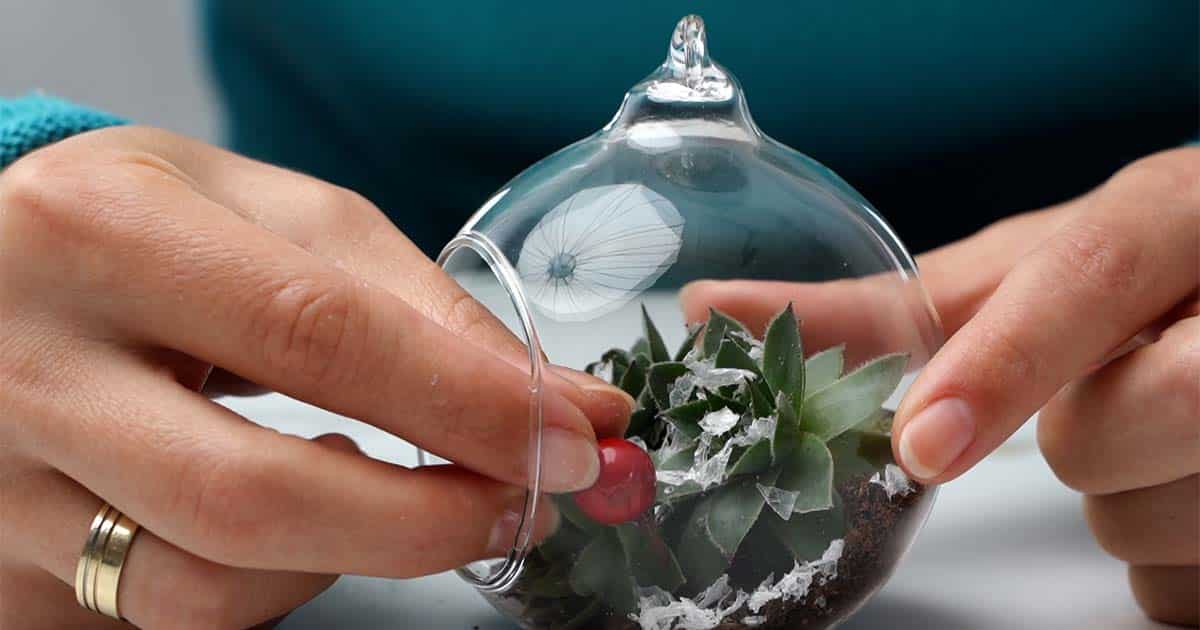 how to assemble a succulent christmas ornaments