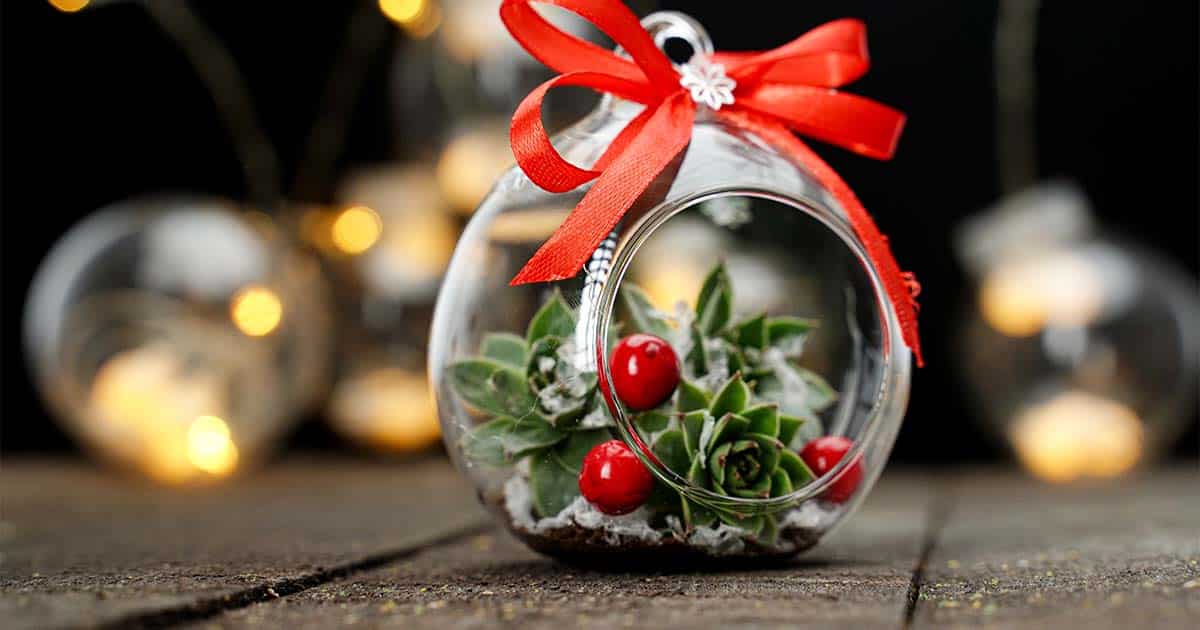 easy diy succulent christmas ornaments