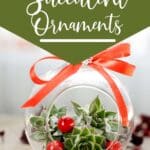 succulent christmas ornaments with text which reads easy diy succulent ornaments