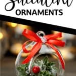 cute ornament with a succulent inside with text which reads easy diy succulent ornaments