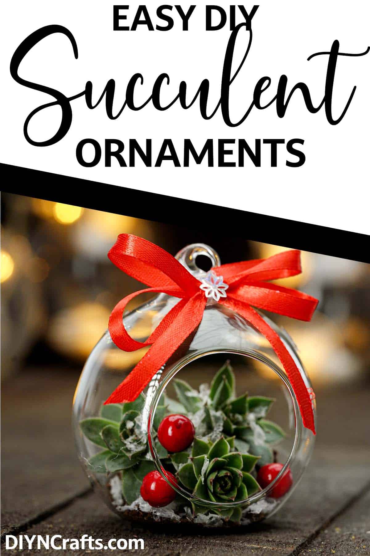 cute ornament with a succulent inside with text which reads easy diy succulent ornaments