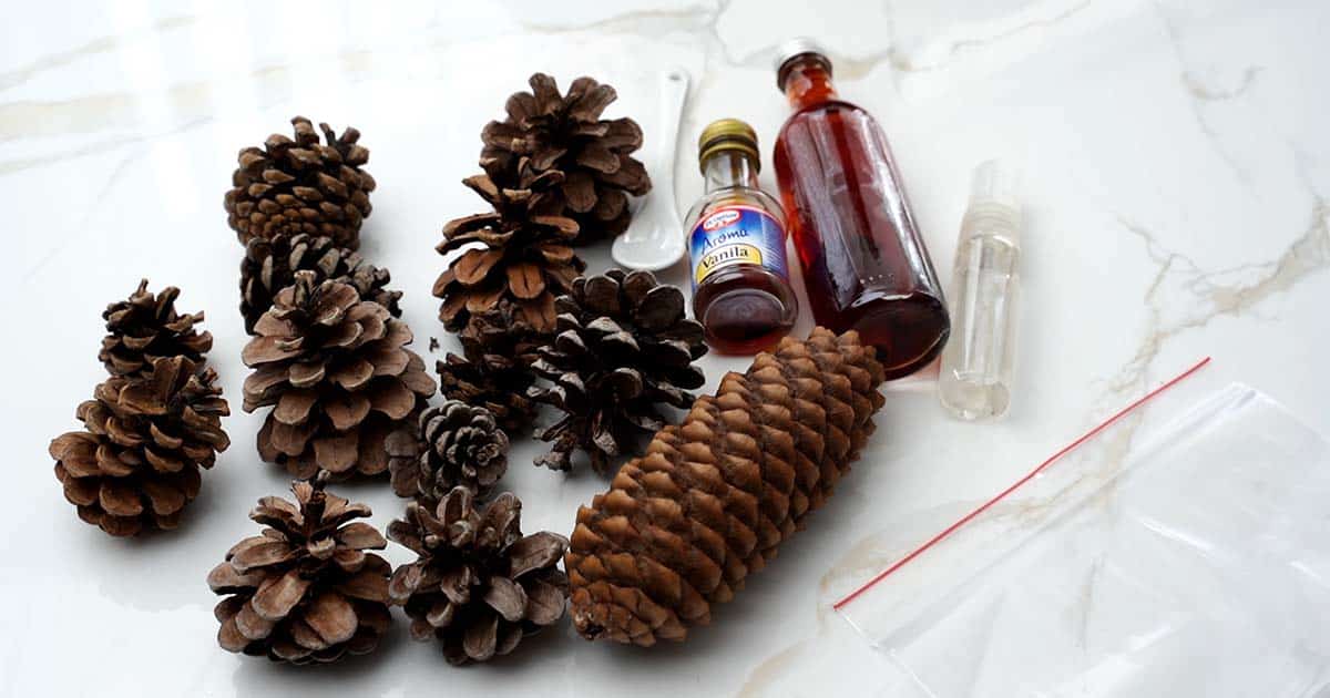 supplies to make vanilla cinnamon pinecones
