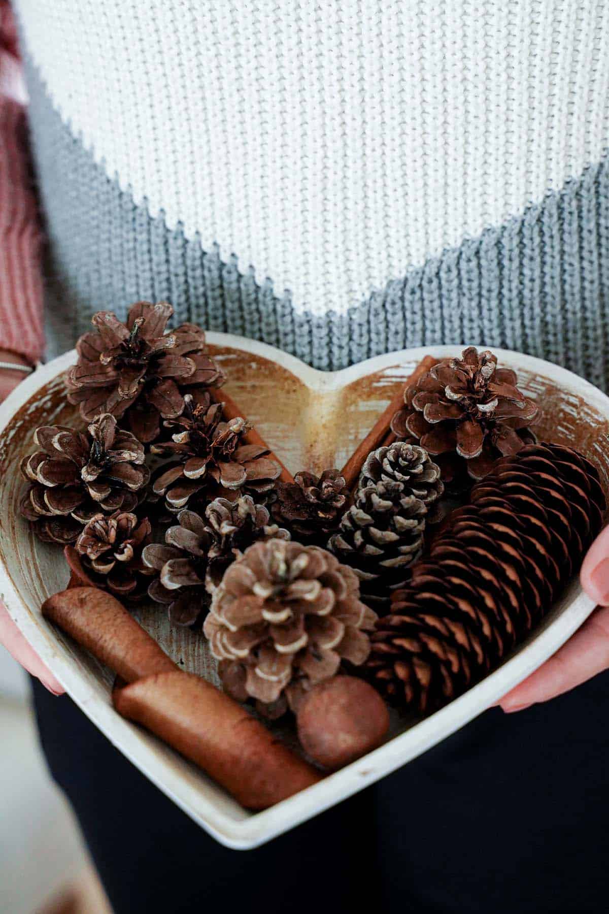 two hands holding a bowl of vanilla cinnamon pinecones