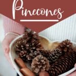 vanilla cinnamon pinecones with text which reads easy diy cinnamon vanilla pinecones