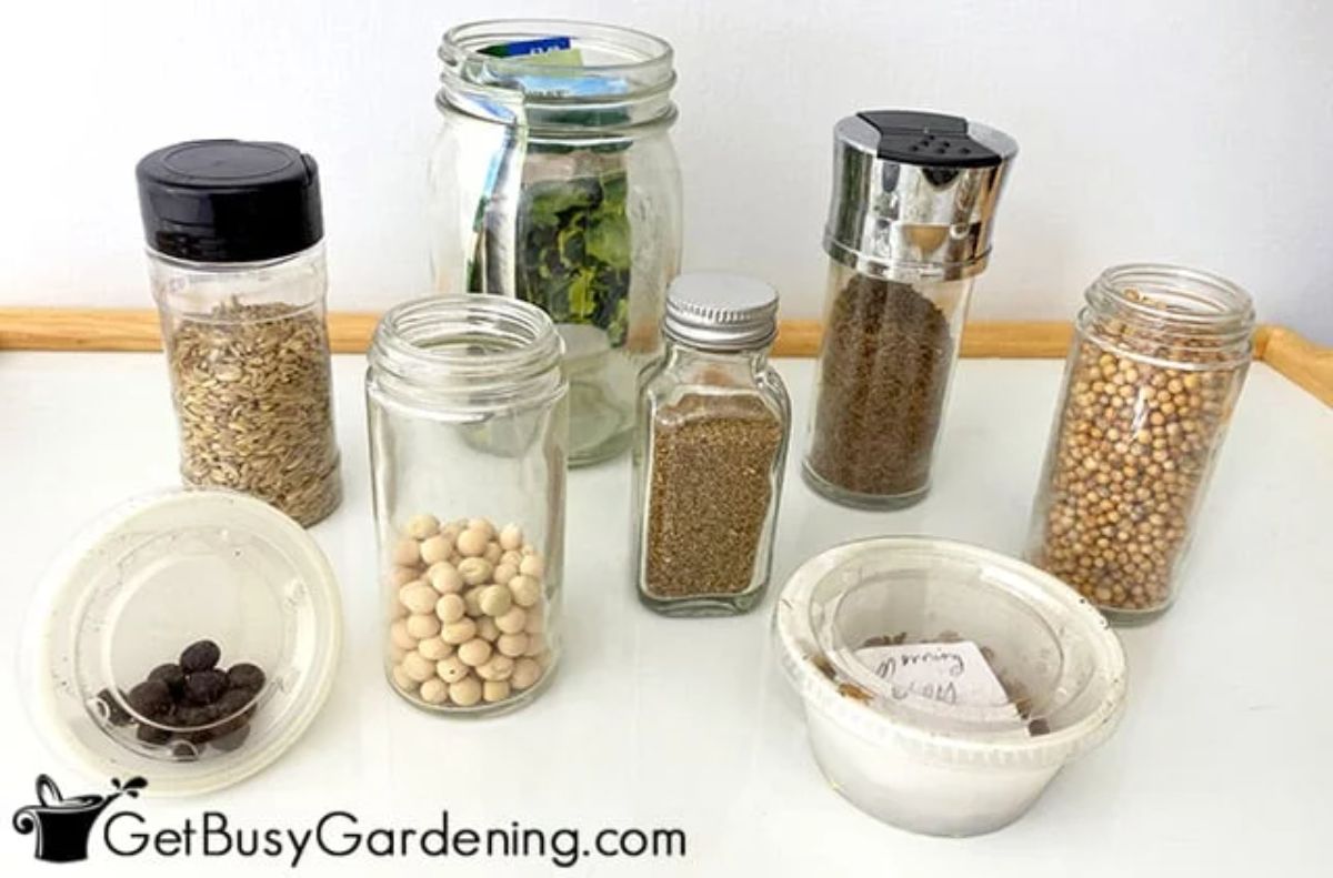 Your Kitchen Drawer seed storage.