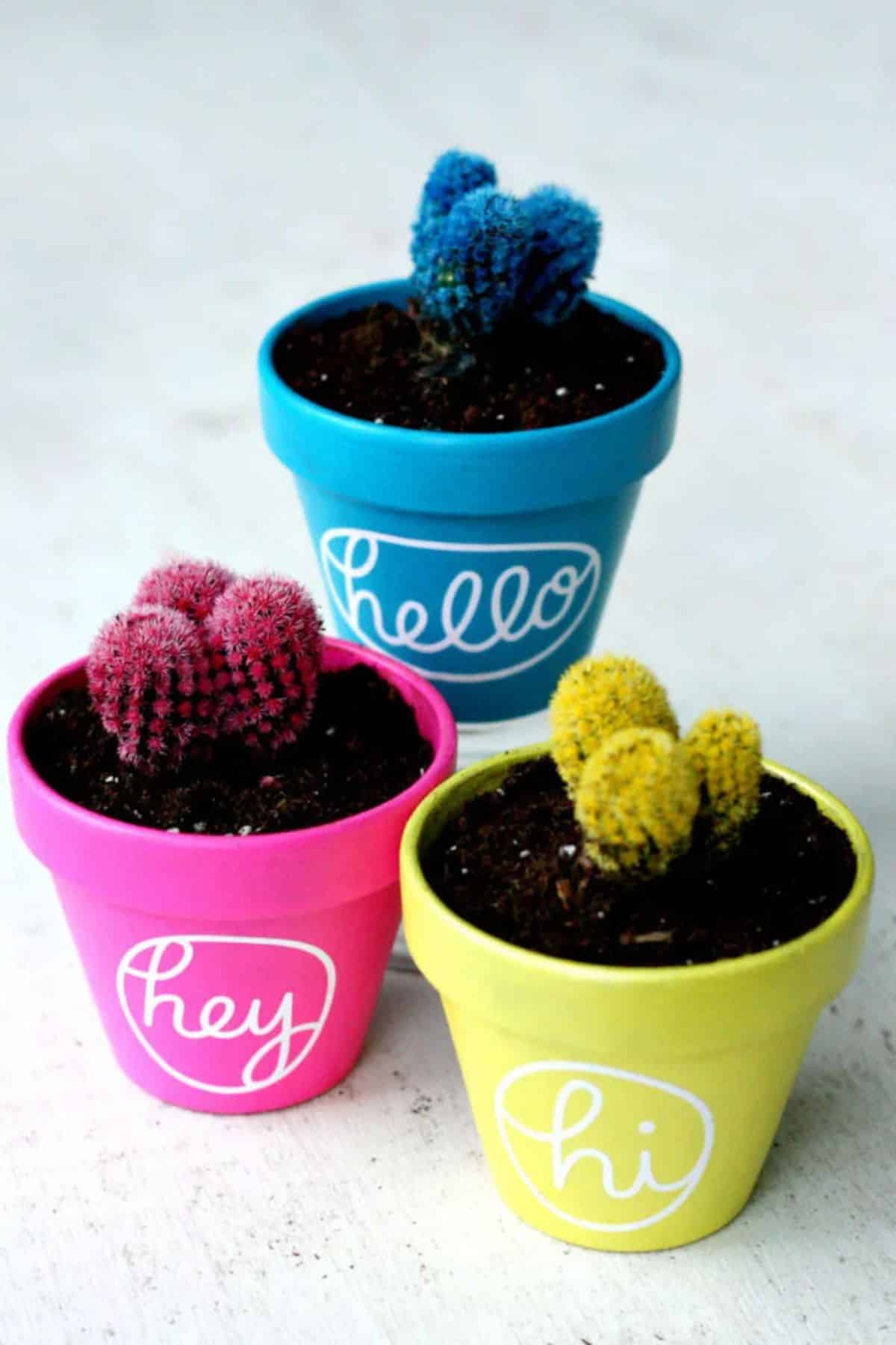 Cactus Pot Painting for Colorful Home Decor