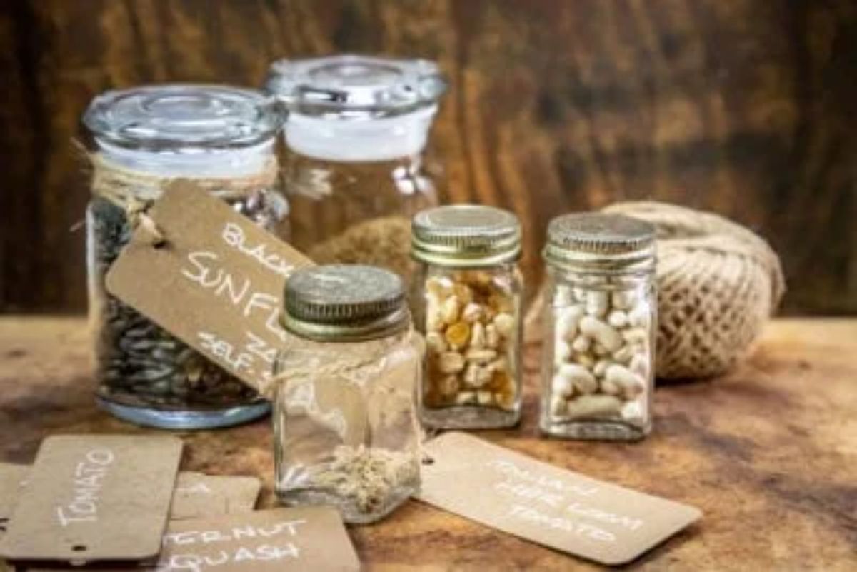 Mayonnaise Jars as seed storage