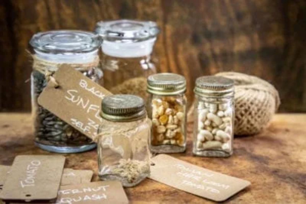 The Best Ways to Store Seeds