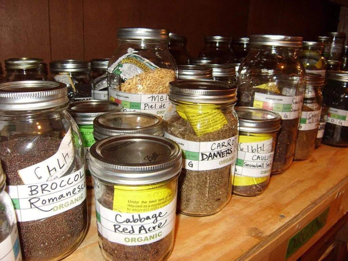 Mason Jar Seed Storage