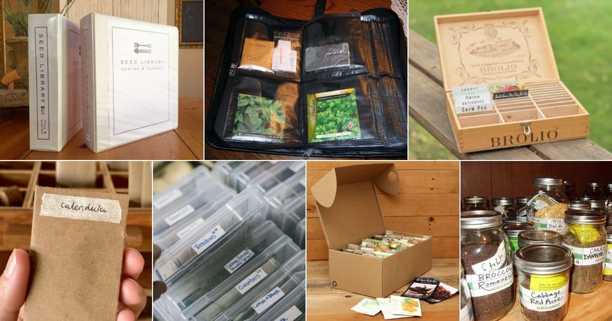 27 Seed Storage DIY Ideas and Products facebook image.