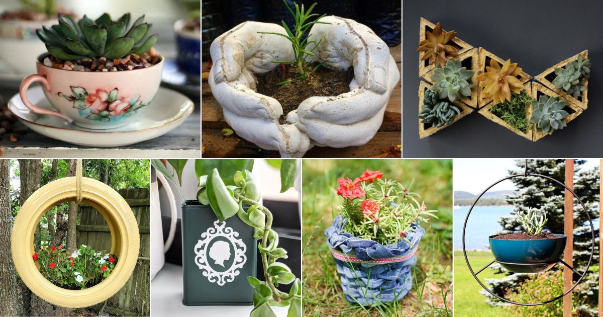50 Plant Displays: DIY Ideas and Products facebook image.