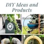 50 Plant Displays: DIY Ideas and Products pinterest image.