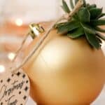 Succulent planer ornament Christmas Gift Idea