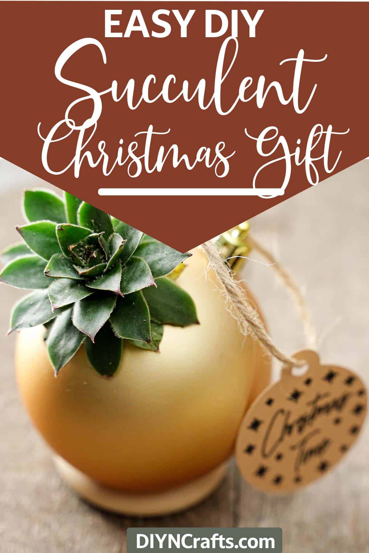 simple christmas gift idea for succulent lover with text which reads easy diy Succulent Christmas Gift
