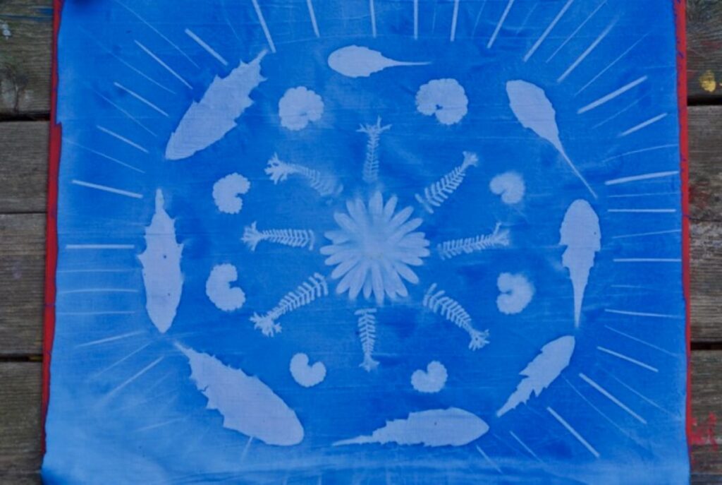 20 DIY Solar Printing Ideas - DIY & Crafts