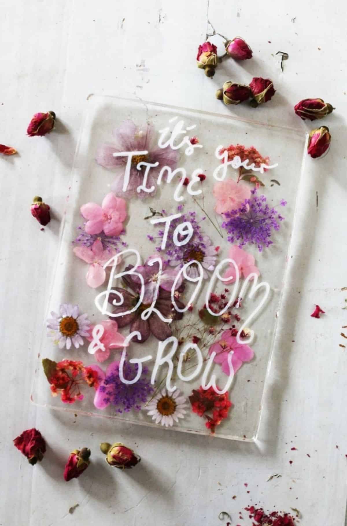 DIY: Dried Flower Quote Board