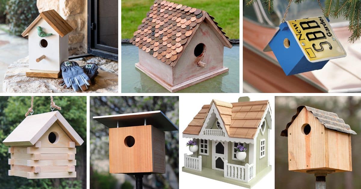 45 diy bird house plans facebook
