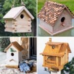 45 diy bird house plans featured