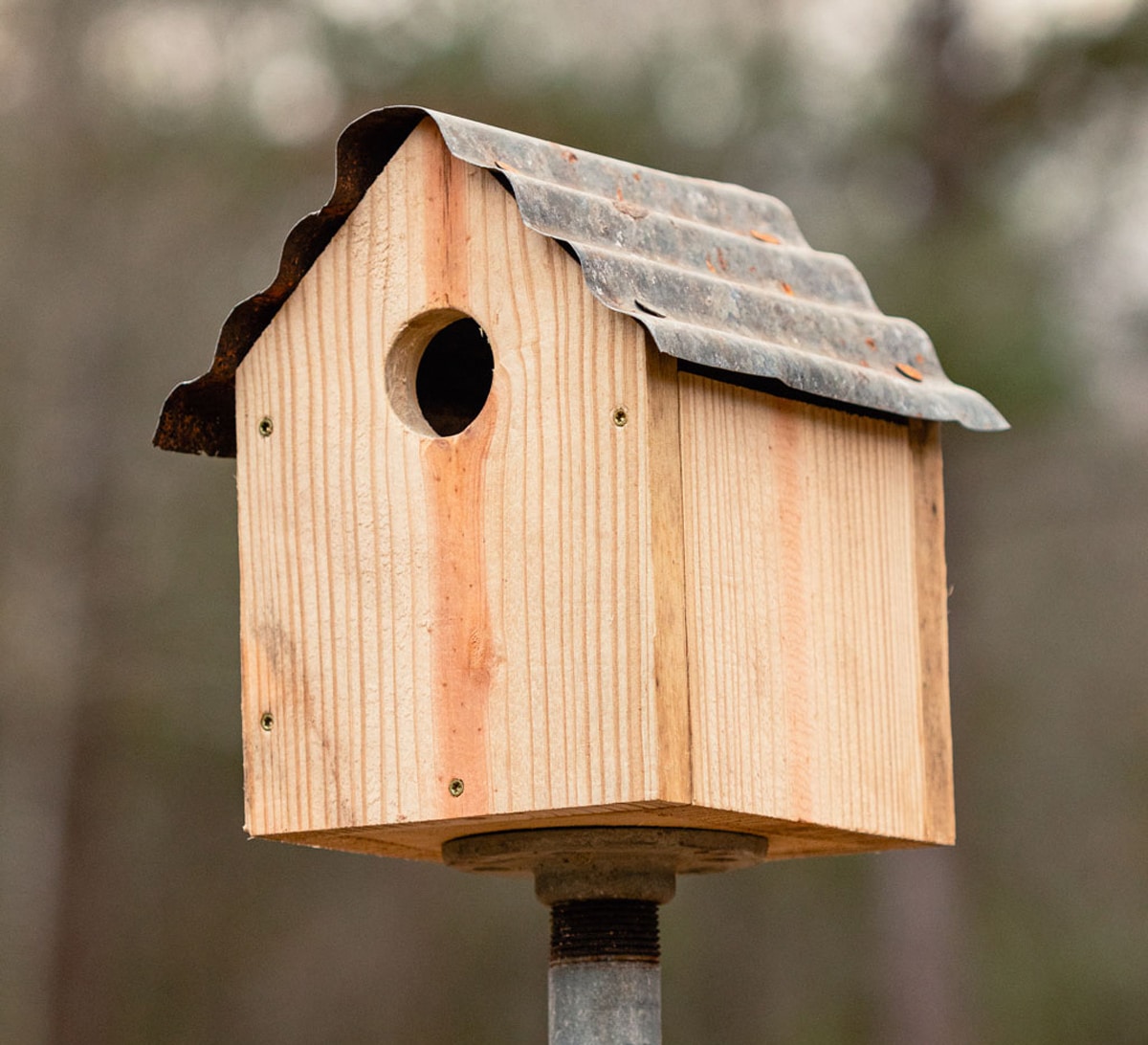 wooden birdhouse with corrugated iron roof