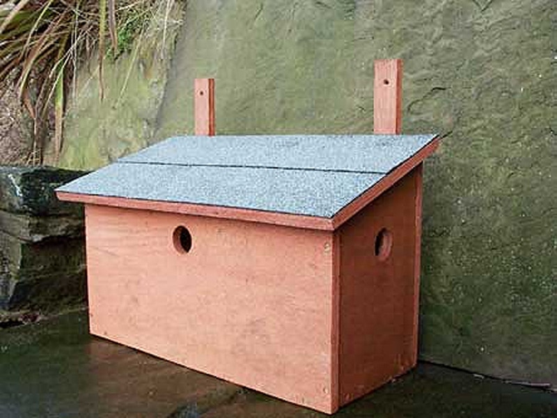 bird box for house sparrows