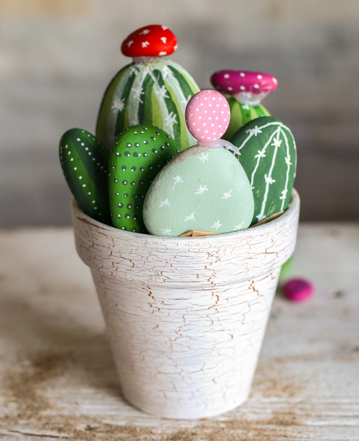 cactus painted rocks
