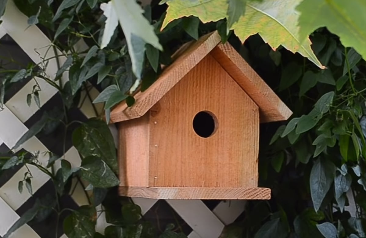 wooden birdhouse hanging on fence