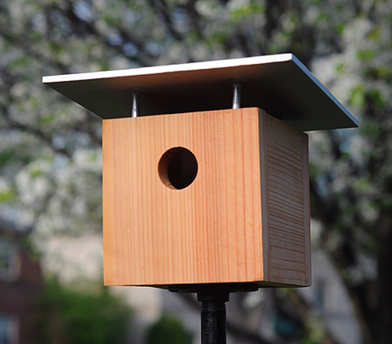 modern bird house plans