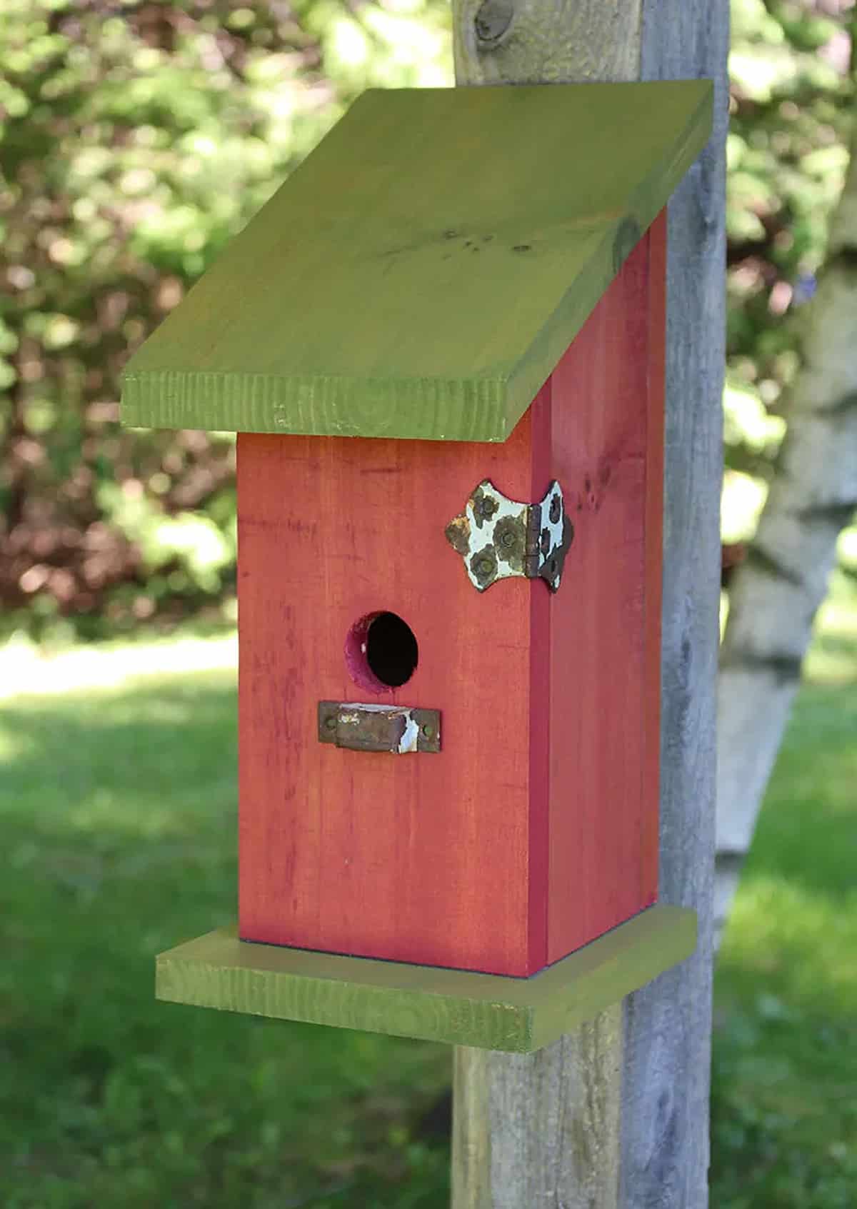 glue-less birdhouse hanging on wooden pole