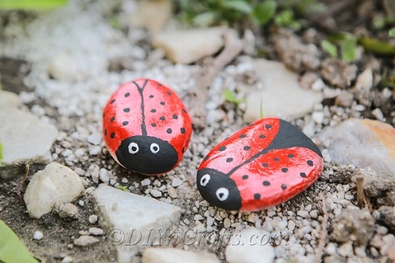 adorable ladybug-painted rocks