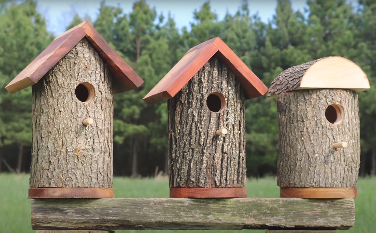 three homemade bird houses made from tree trunks