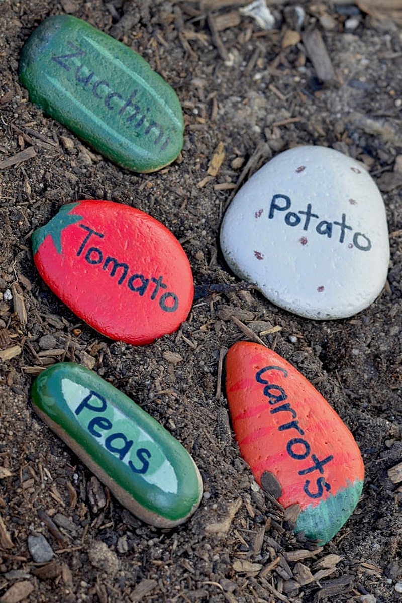 stones with names and pictures of vegetables painted on them
