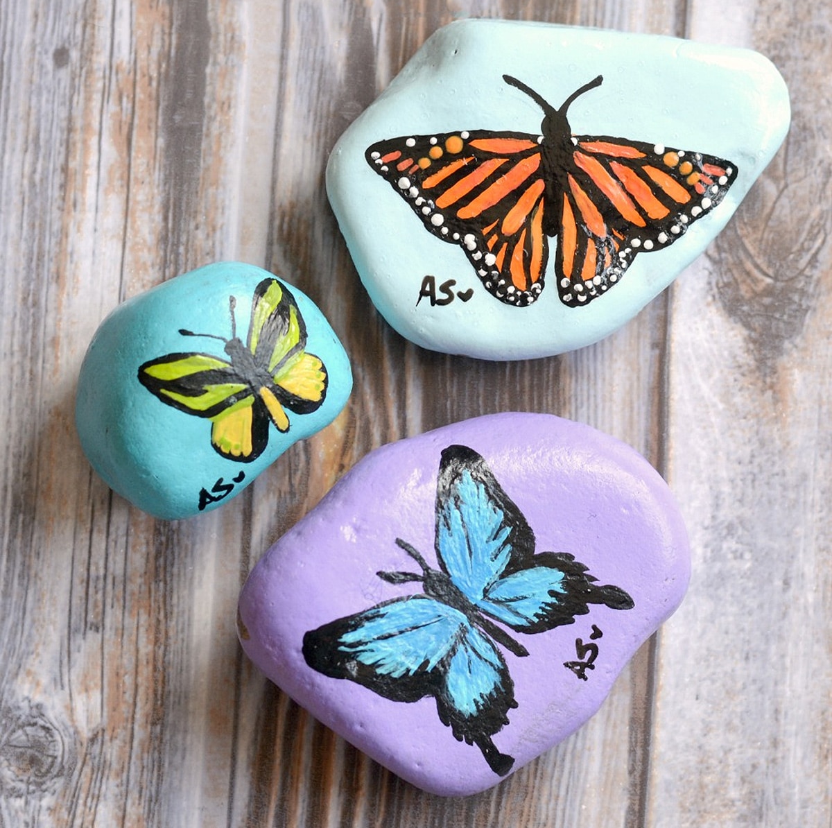 butterfly-shaped stone