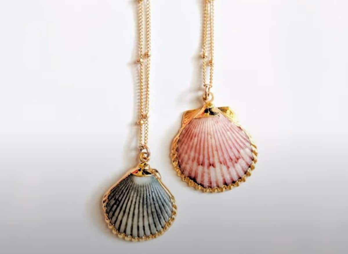 two seashell necklaces