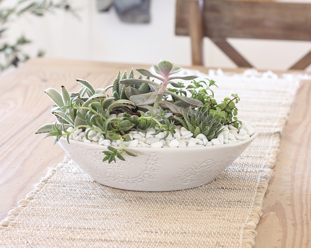 exquisite succulent bowl centerpiece