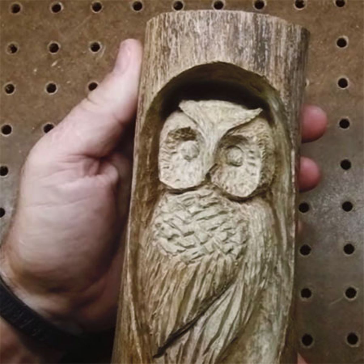 DIY Wood Carving of Owl in a Tree Branch