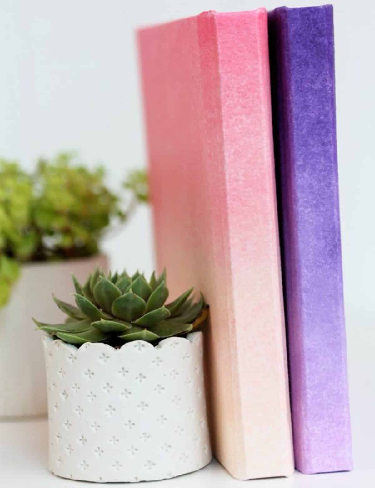 Ombre Leather Journals