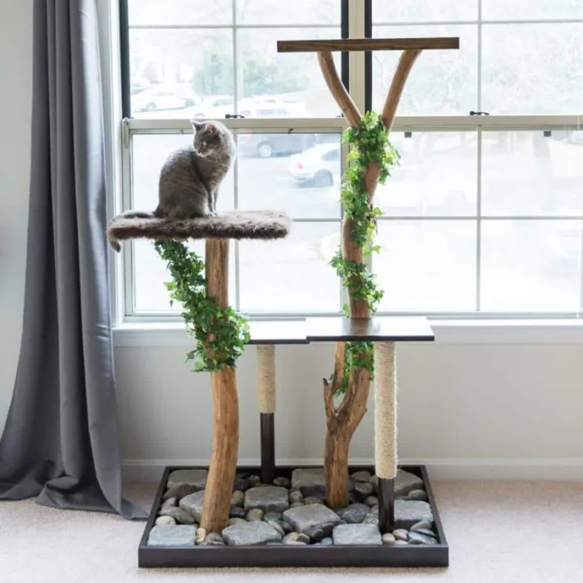 DIY Cat Tree From a Real Tree