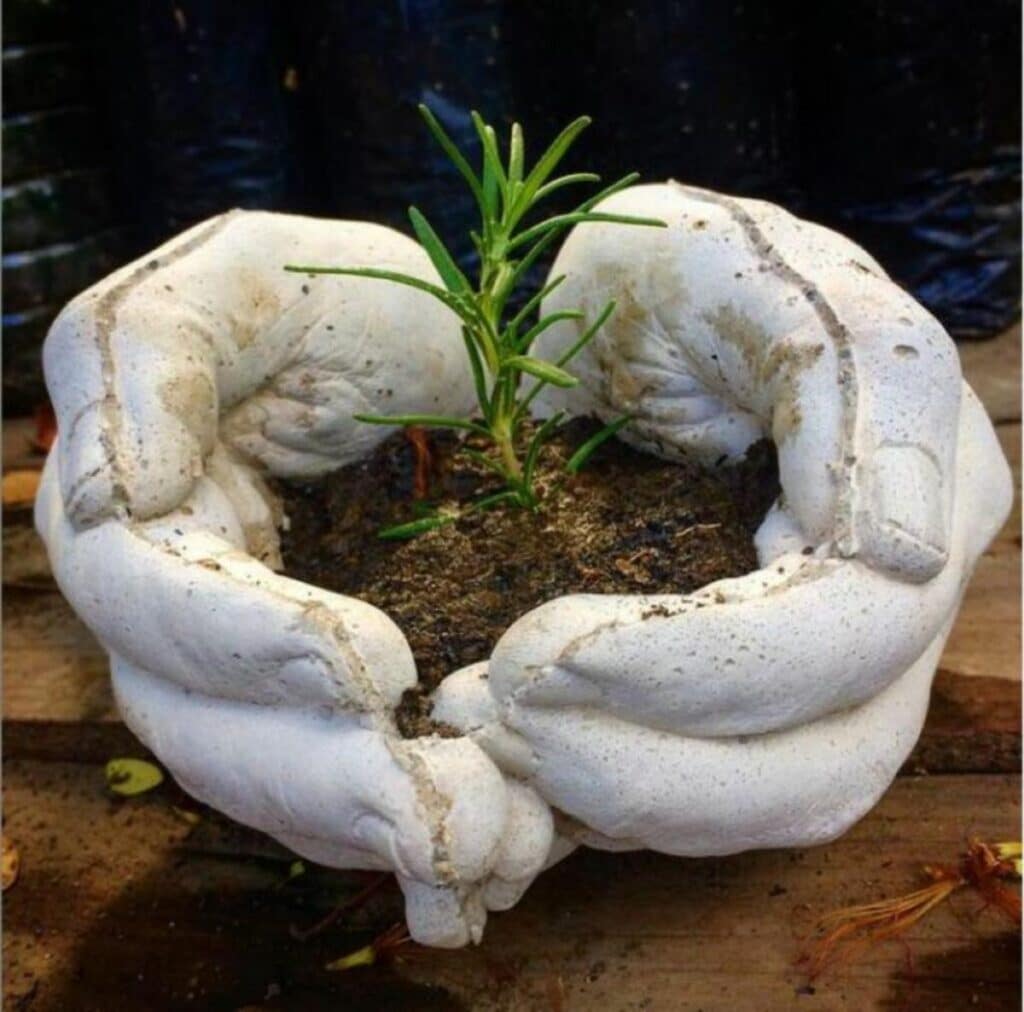 23 DIY Concrete Vases and Planter Ideas - DIY & Crafts