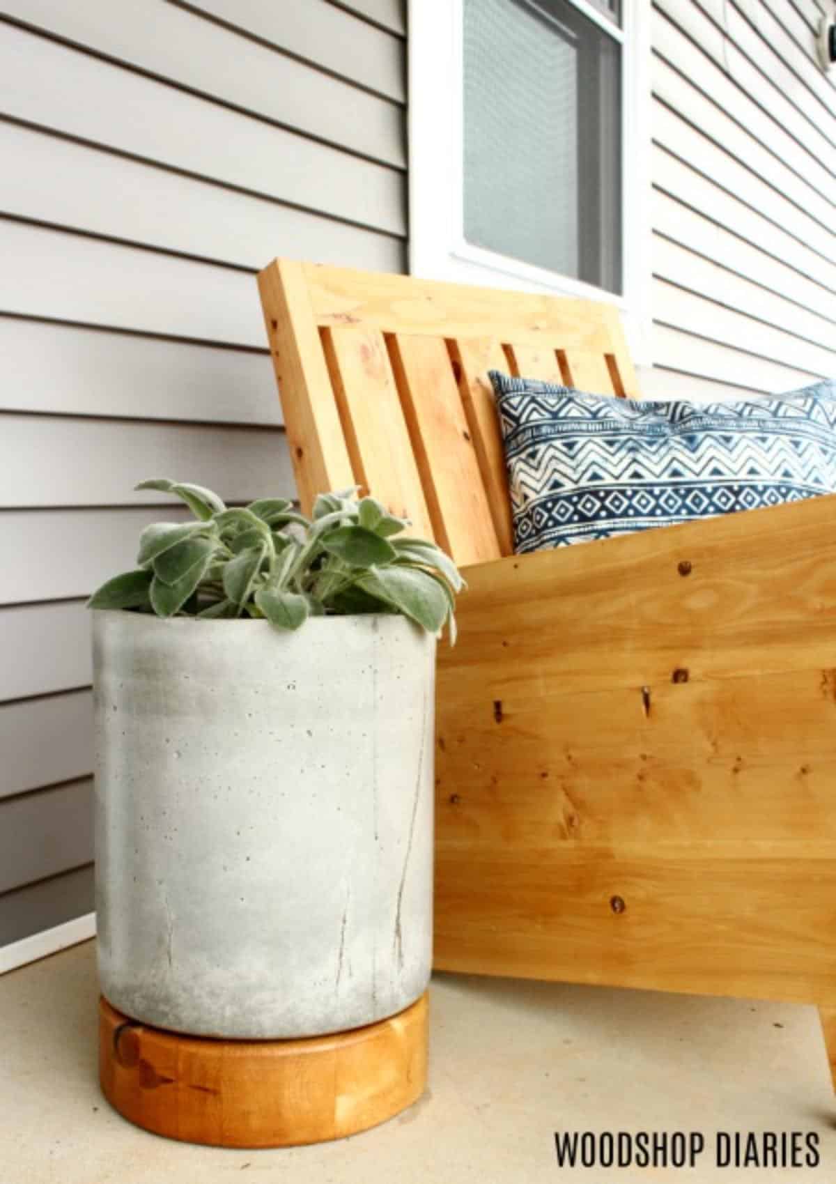 DIY Wooden Base Concrete Planter Pot