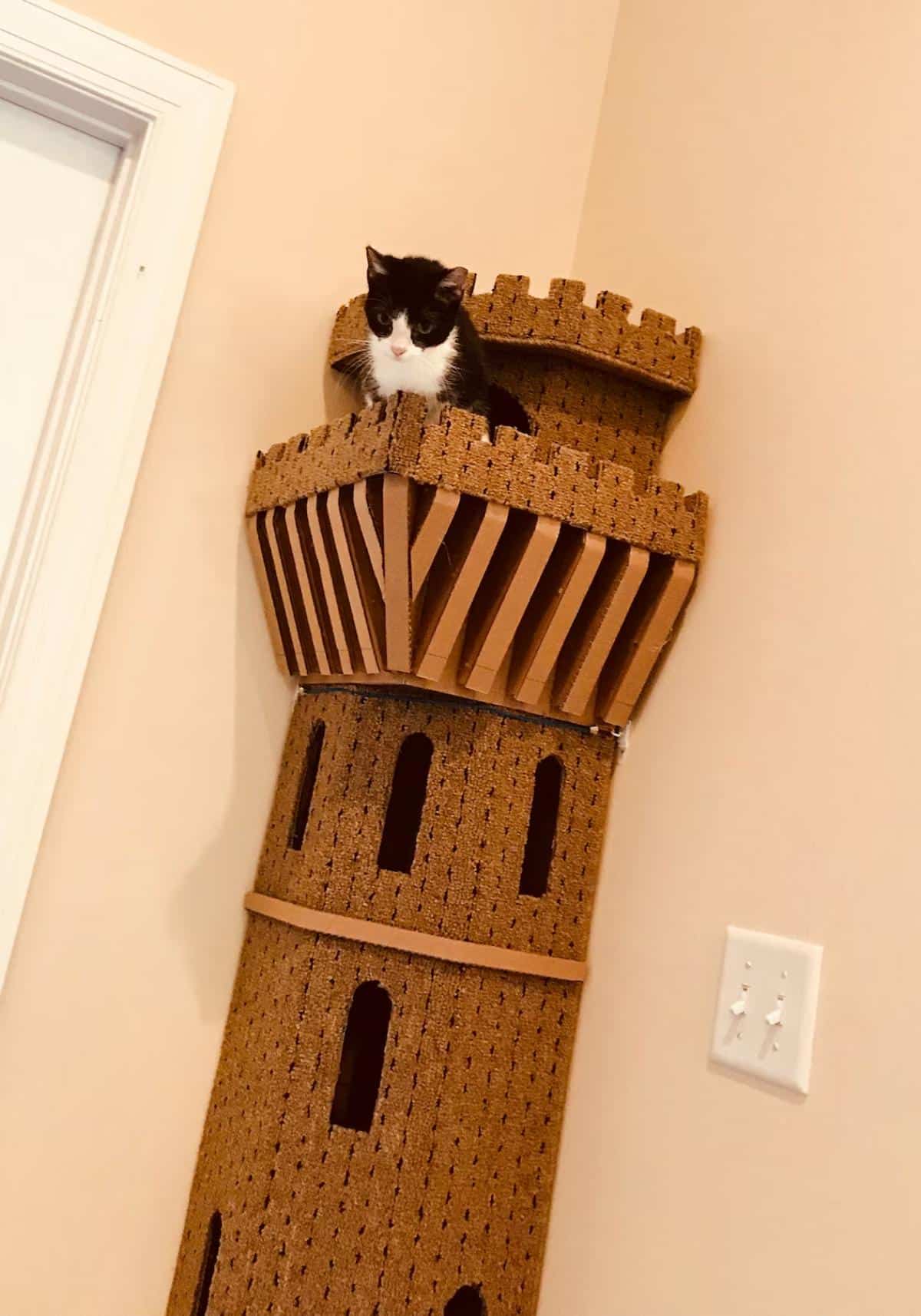 פינת מגדל חתול עשה זאת בעצמך - תוכניות ודפוסים