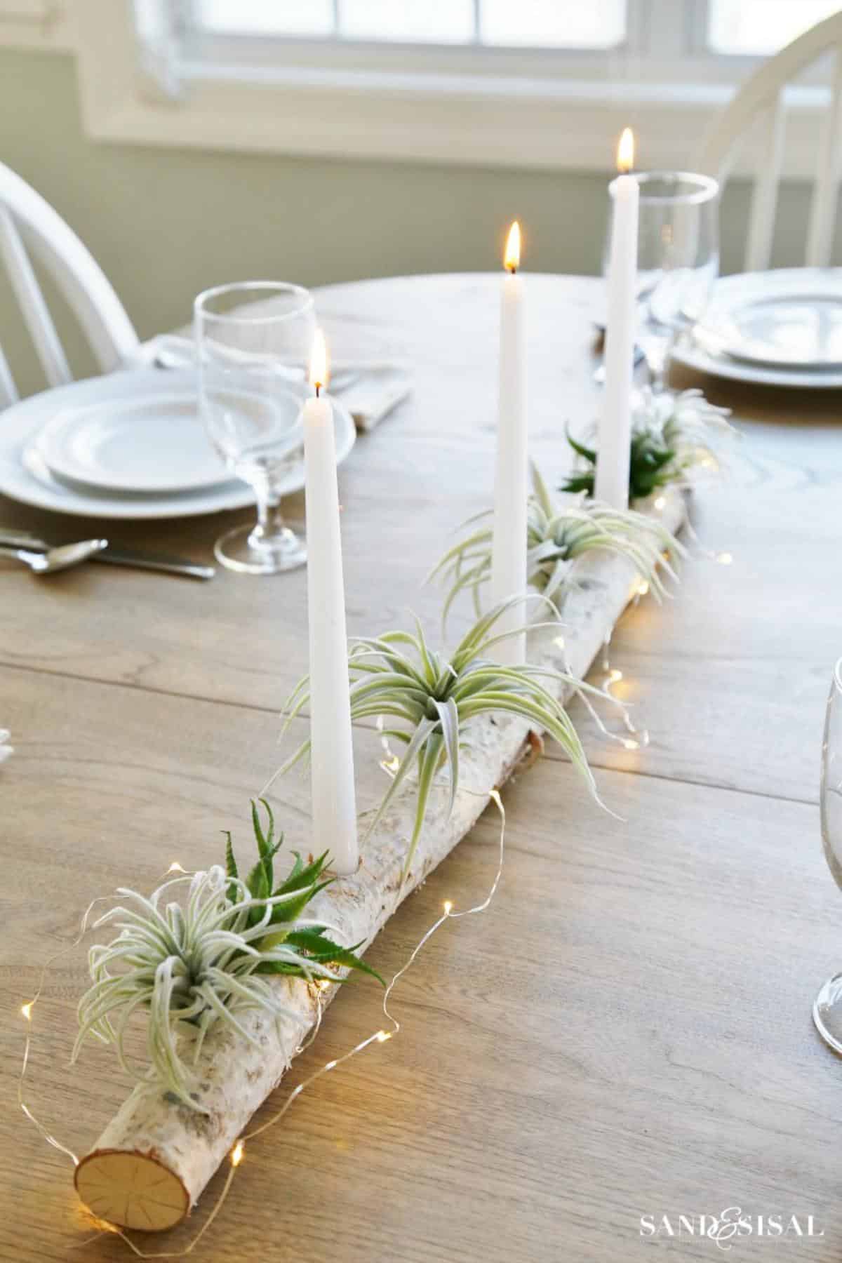 Birch Log Centerpiece With Air Plants and Succulents
