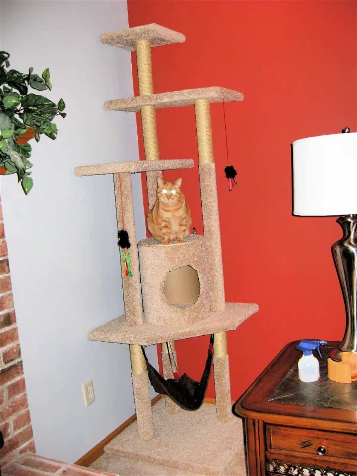 DIY Cat Tree With Step-by-Step Plan