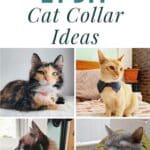 21 DIY Cat Collar Ideas pinterest image.