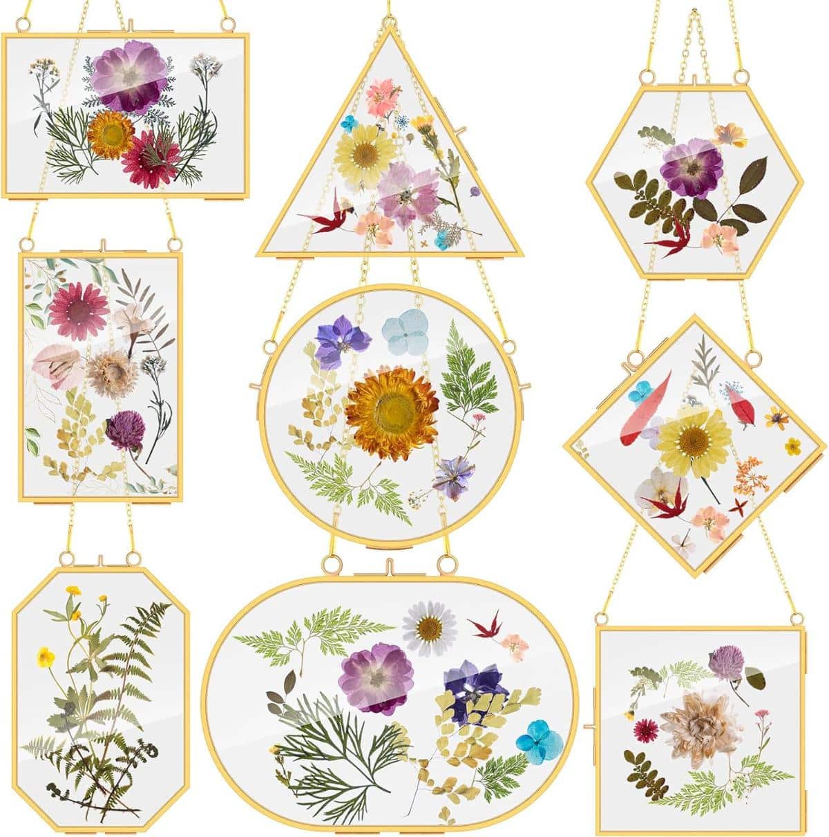 Pressed Flowers Glass Frames For Gallery Wall