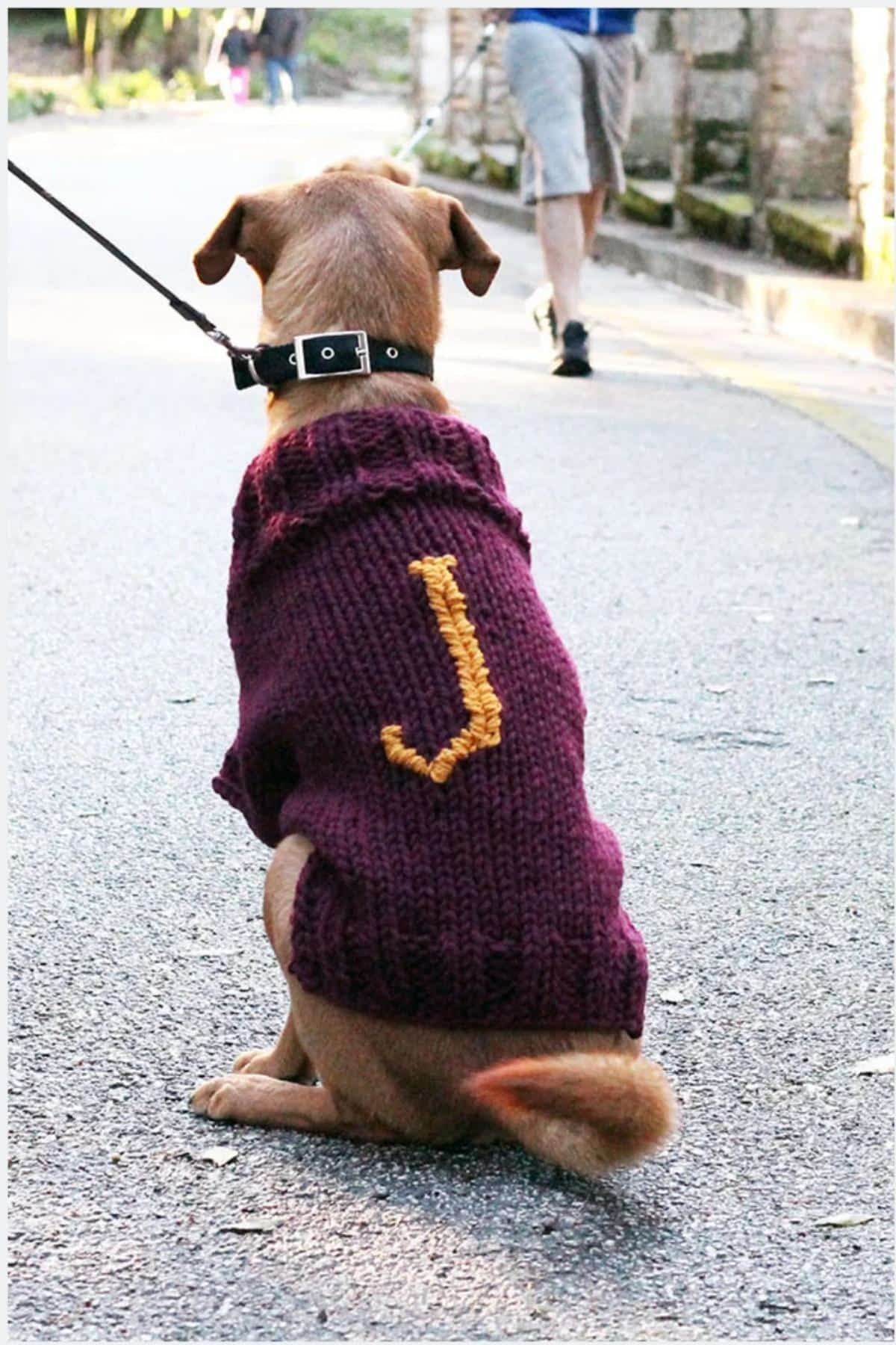 Knitted Harry Potter Dog Sweater