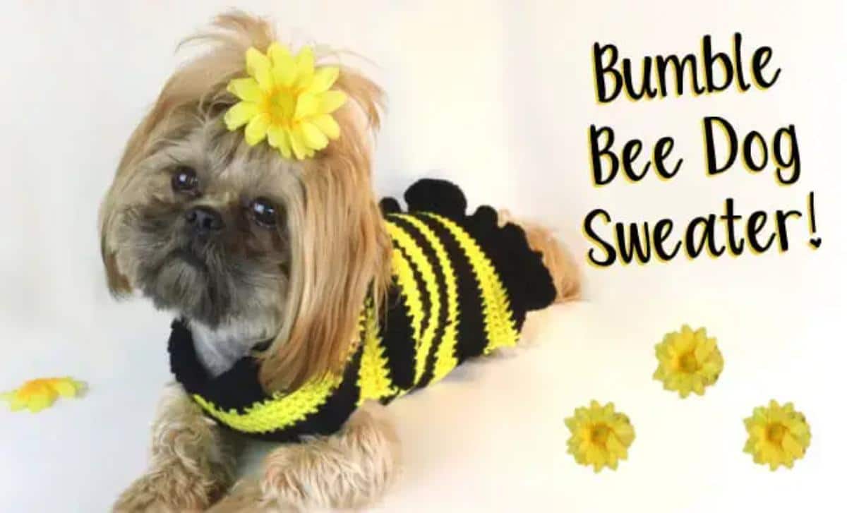 Cute Bumble Bee Dog Sweater
