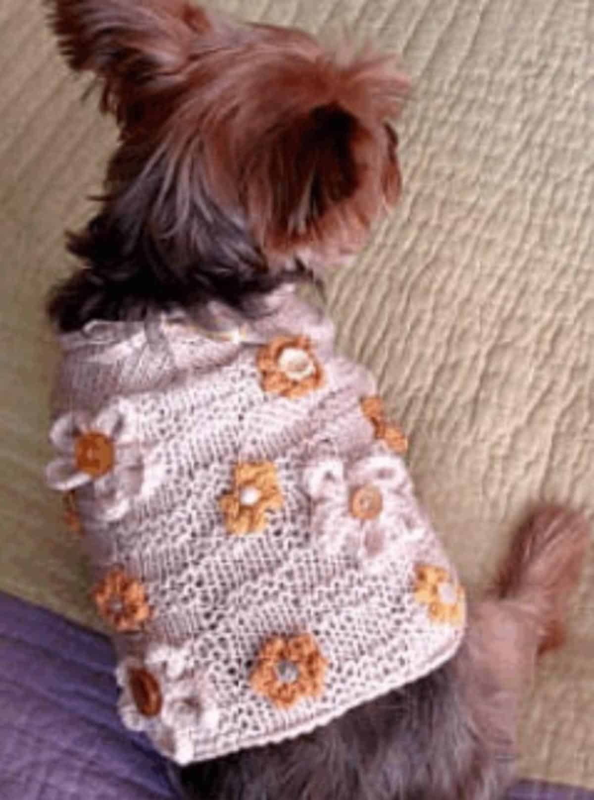 Appliqued Dog Sweater